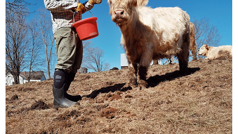 Dryshod Dungho Hi Tough Boots - Mens, Black/Grey, 10, DNG-MH-BK-010