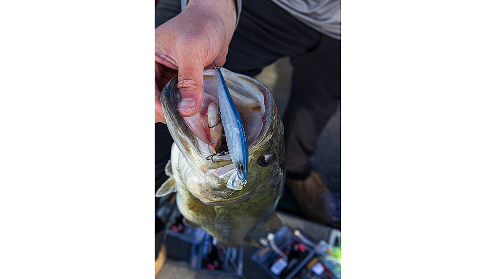 Duckett Fishing Reveal Forward Facing Sonar Jerkbait, 4.5in, 3/4oz, Chrome Shad, DBRJ3/4 CS