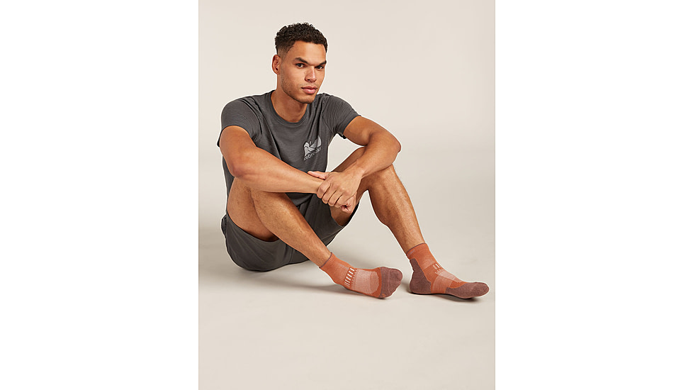 Icebreaker Merino Hike+ Light Mini Socks - Mens, Dusty Clay/Carob, Large, IB0A578N0D7L