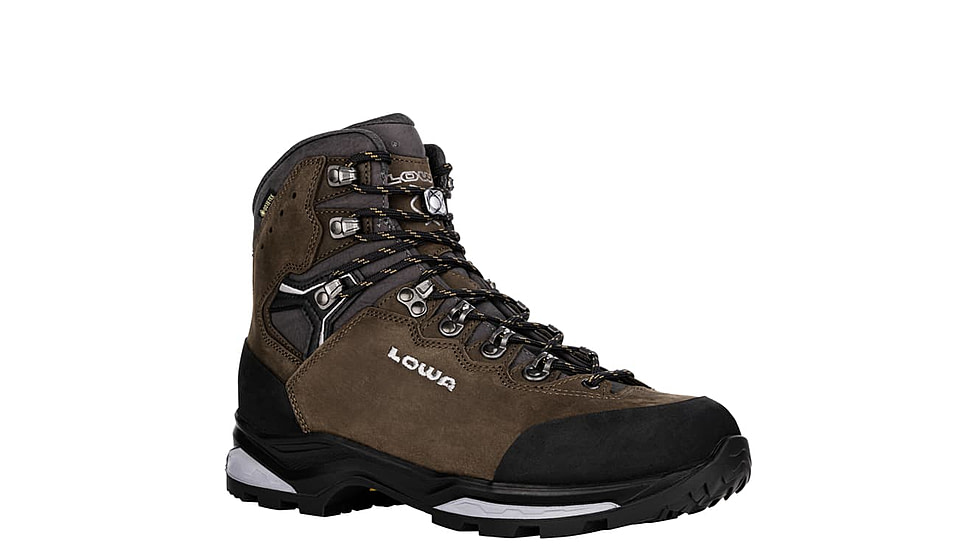 Lowa Camino Evo GTX Hiking Shoes - Mens, Brown/Graphite, 9.5, 197827017103