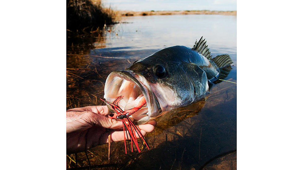 Lunkerhunt Dragonfly Bait Soft Bait, 1, 3in, Cardinal, DRGF02