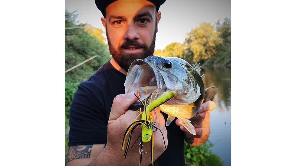 Lunkerhunt Dragonfly Bait Soft Bait, 1, 3in, Meadowhawk, DRGF03