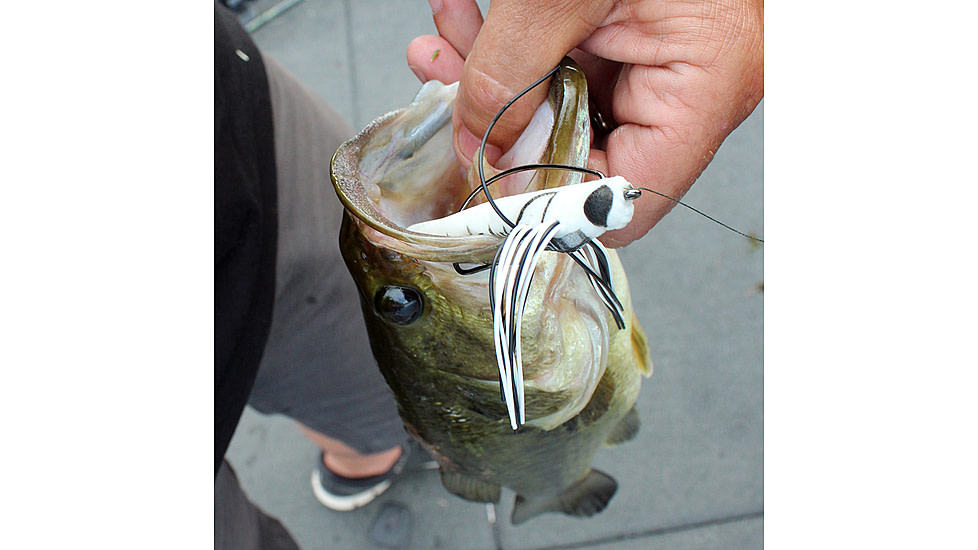 Lunkerhunt Dragonfly Bait Soft Bait, 1, 3in, Skimmer, DRGF05