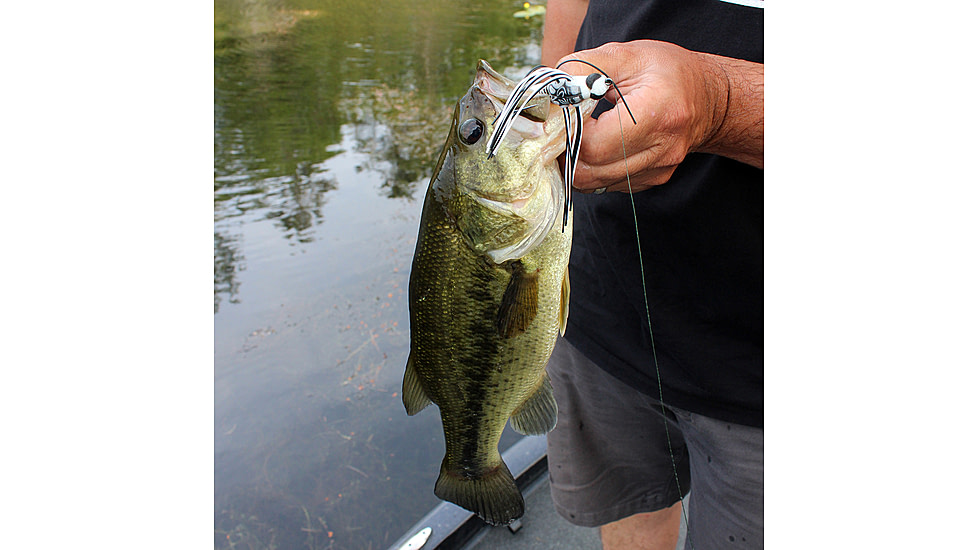 Lunkerhunt Dragonfly Bait Soft Bait, 1, 3in, Skimmer, DRGF05