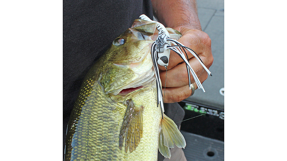 Lunkerhunt Dragonfly Bait Soft Bait, 1, 3in, Skimmer, DRGF05