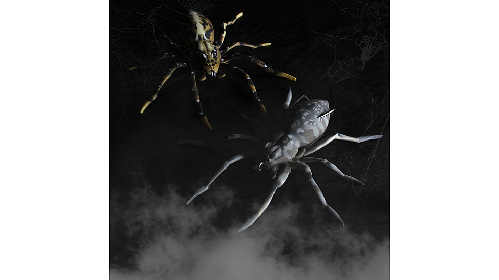 Lunkerhunt Phantom Spider Bait Topwater, 1, 2in, Fang, SPIDER07