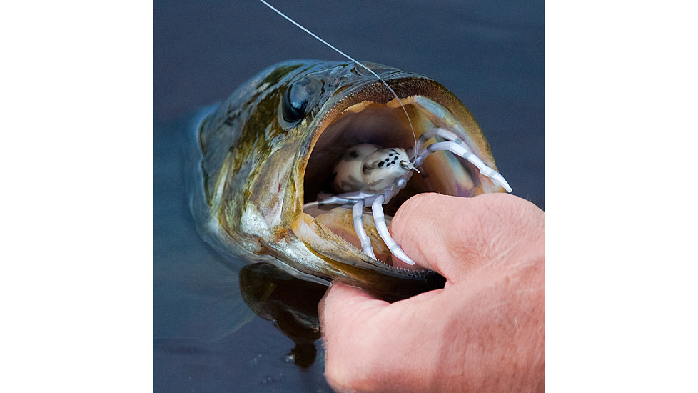 Lunkerhunt Phantom Spider Bait Topwater, 1, 2in, White Wolf, SPIDER06