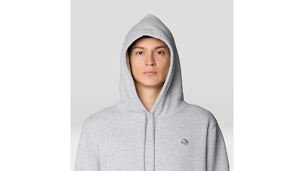 Mountain Hardwear MHW Logo M Hoody - Mens