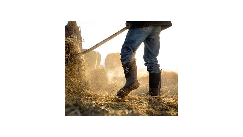 Muck Boots Edgewater Multi-Purpose Boot - Mens, Black, 15, ECM-000-BLK-150