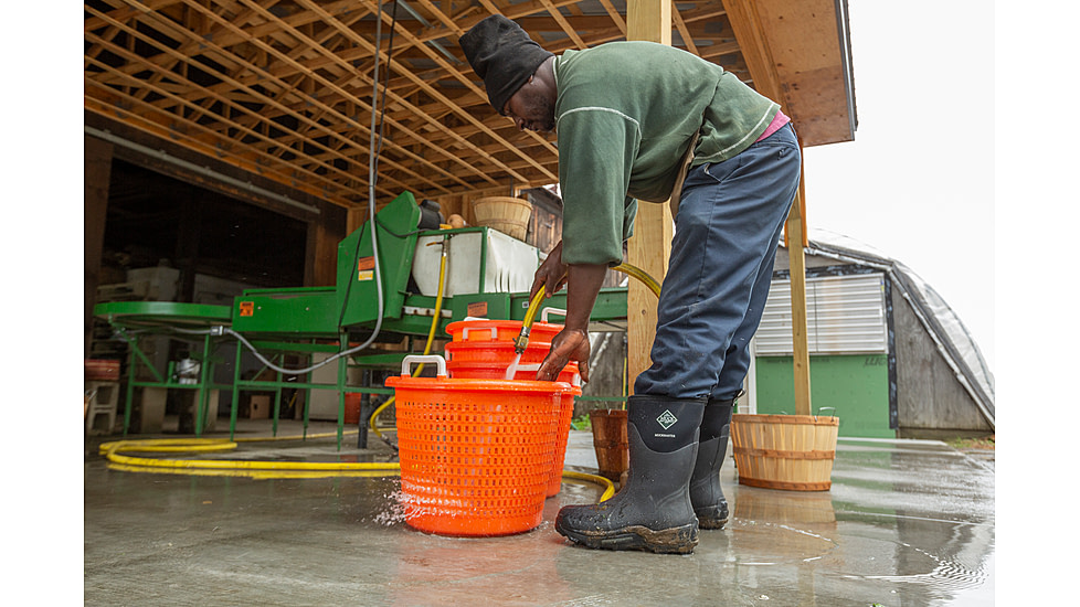 Muck Boots Muckmaster Commercial Grade Tall Rubber Work Boots - Mens, Black, 5, MMM-500A-BLK-050
