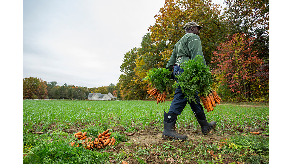 Muck Boots Muckmaster Commercial Grade Tall Rubber Work Boots - Mens, Black, 5, MMM-500A-BLK-050