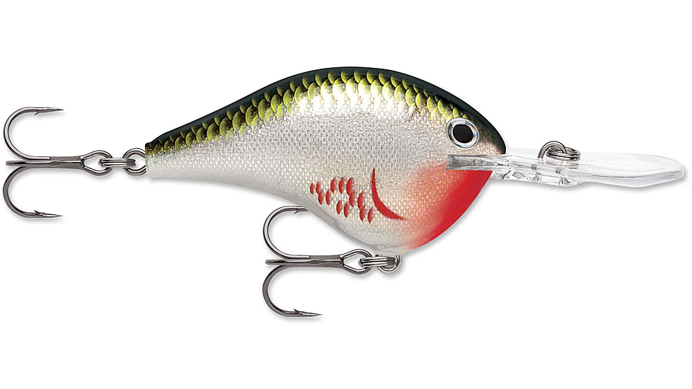 Rapala Dives-To 16 Lure, Bleeding Olive Shiner, DT16BOS