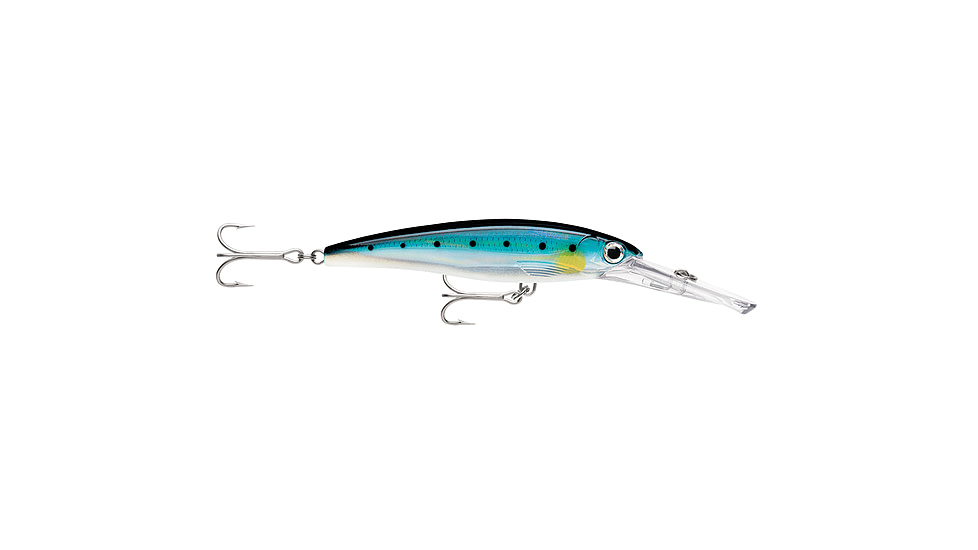 Rapala X-Rap Magnum 15 Blue Sardine, XRMAG15BSRD