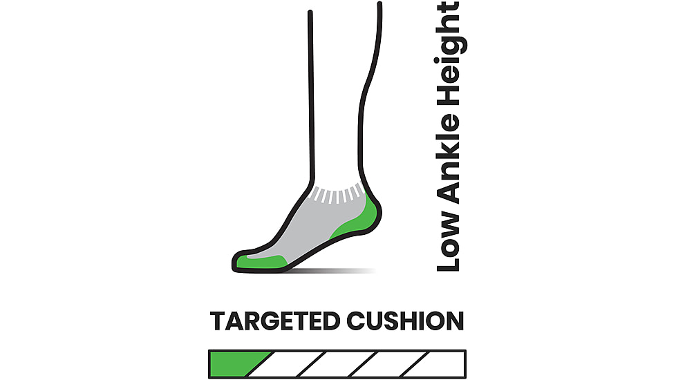 Smartwool Run Targeted Cushion Stripe Low Ankle Socks - Womens, G74 Twilight Blue, Large, SW001672G74L