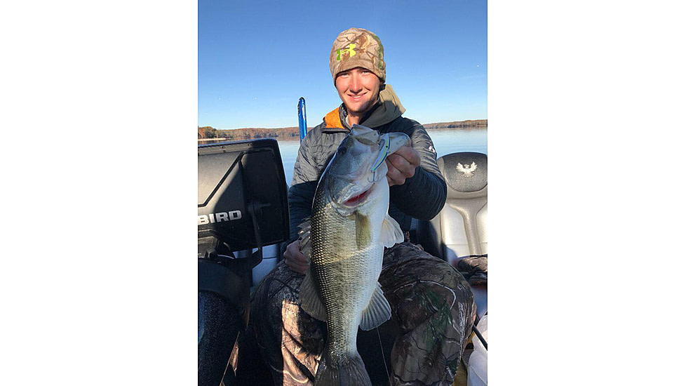 SteelShad 3/8 oz Blade Bait, Sexy Shad, SSL-10032