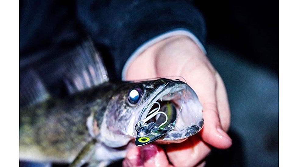 SteelShad 3/8 oz Blade Bait, Sexy Shad, SSL-10032