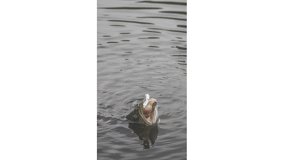 SteelShad 3/8 oz Blade Bait, White Shad, SSL-10062