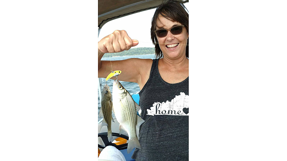 SteelShad 3/8 oz Blade Bait, Yellow Shad, SSL-10067