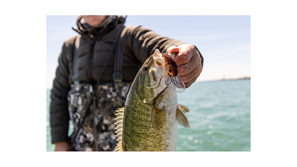 Strike King 3XD Elite Crankbaits, Chartreuse Baitfish, 7/16oz, HC3XDE-432