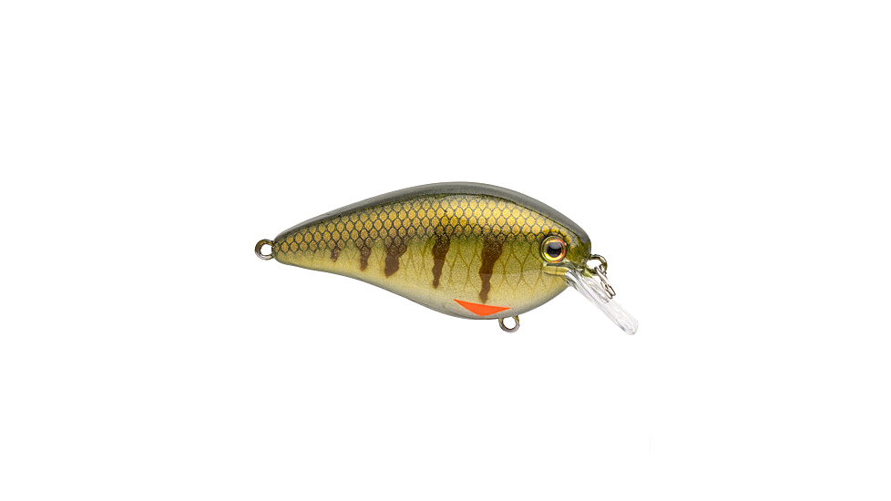 Strike King KVD Elite 1.5 Crankbaits, Pro Phantom Perch, 3/8oz, HCKVD1.5E-339