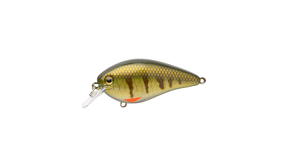 Strike King KVD Elite 1.5 Crankbaits, Pro Phantom Perch, 3/8oz, HCKVD1.5E-339
