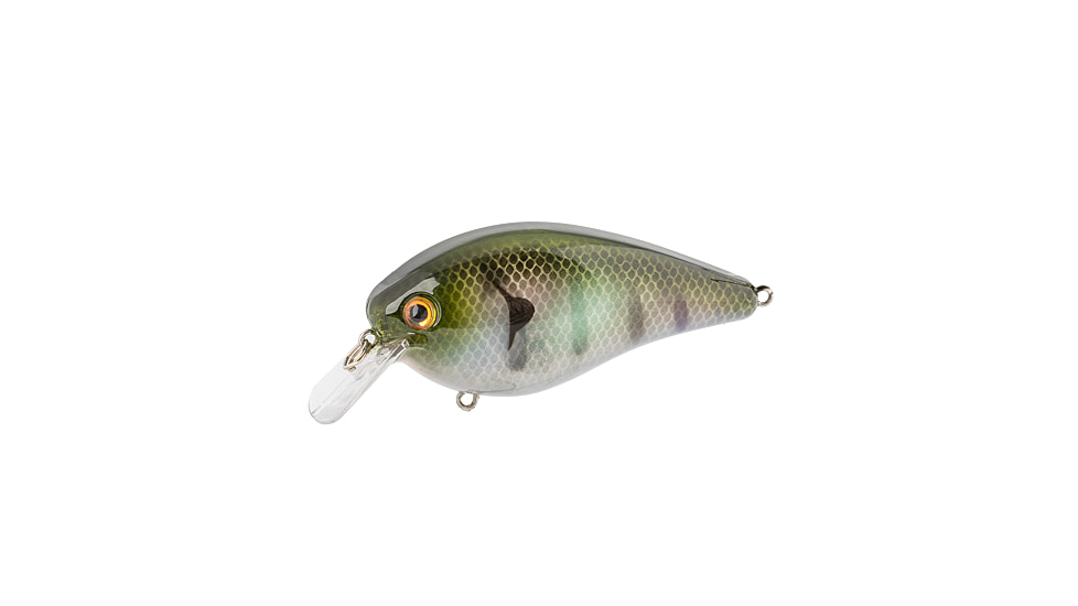Strike King KVD Elite 8.0 Crankbaits, The Real Gill, 1 1/2oz, HCKVD8.0E-822