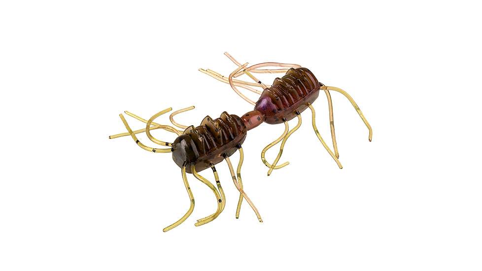 Strike King Sexy Bug Softbait, 6 pack, 2in, Grape Whiskey, 12-36356