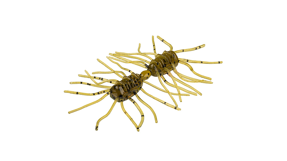 Strike King Sexy Bug Softbait, 6 pack, 2in, Green Pumpkin, 12-36348