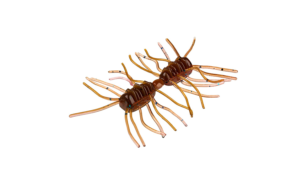 Strike King Sexy Bug Softbait, 6 pack, 2in, Plum Crazy Craw, 12-36355