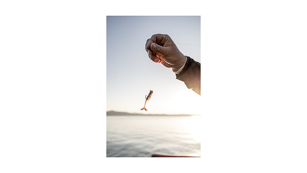 Strike King Strike King Pinger Minnow, 1/8oz, AYU, 3in, SKPNGR318-504