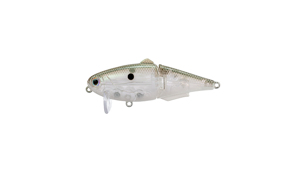 Strike King Wake Shad Topwater Baits, Green Gizzard Shad, 1oz, HCWS2-568