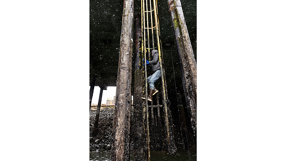 Xtratuf 12 in Plain Toe Legacy Boot - Mens, Copper/Tan, 5, 22172G-CTM-050