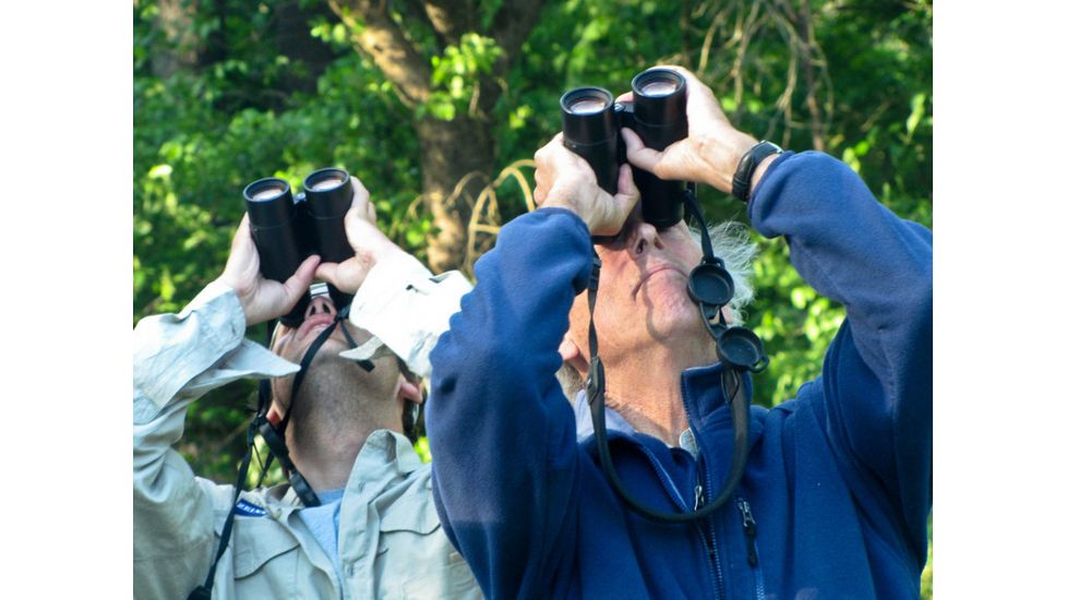 Bird Watching is a Great Hobby