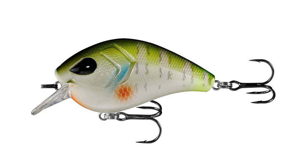 Rapala Flatty Daddy Flat Sided Crankbait 2.5in, 1/2oz, Dream Gill, 2.5in, FD65-6-8