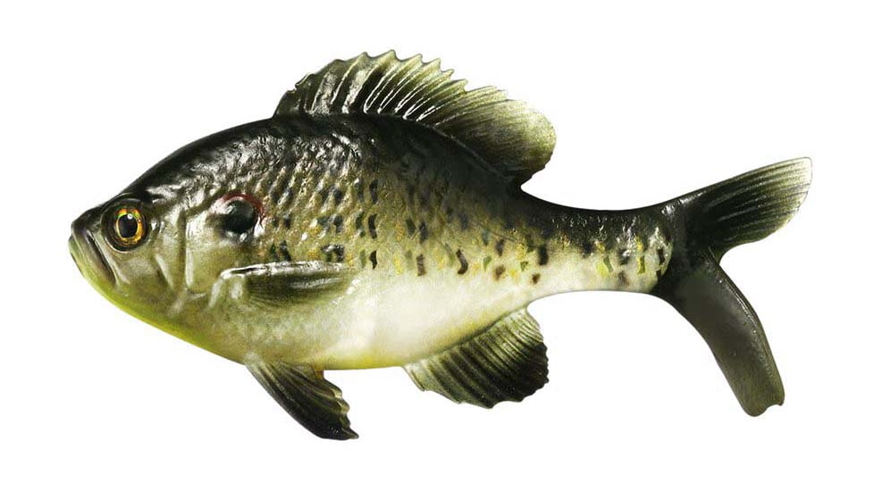 Rapala The Gill Boot Tail Swimbaits, 1, 5.25in, Redear Sunfish, CB-Gill5.25-12