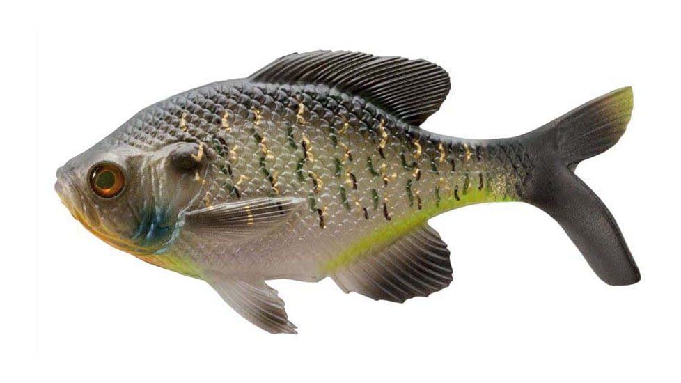 Rapala The Gill Wege Tail Swimbaits, 1, 5.25in, Natural Bluegill, CB-GillW5.25-9