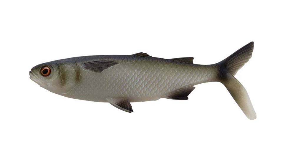 Rapala The Mullet Boot Tail Swimbaits, 1, 5 - 6.5in, Natural Mullet, CB-MULLET-B-6.5-20