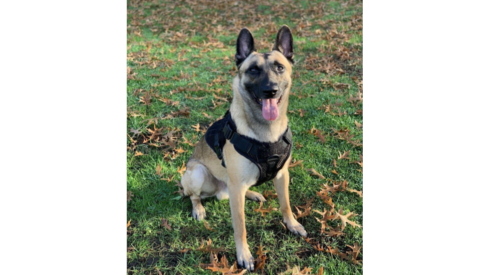 221B Tactical Artemis K-9 Harness, Black, Medium, AK9-M-BLK