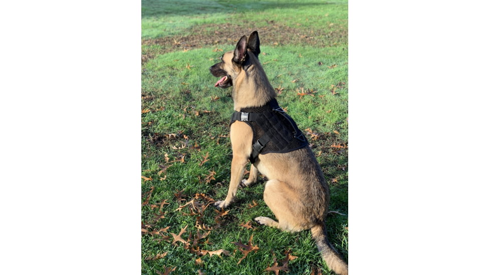 221B Tactical Artemis K-9 Harness, Black, Medium, AK9-M-BLK
