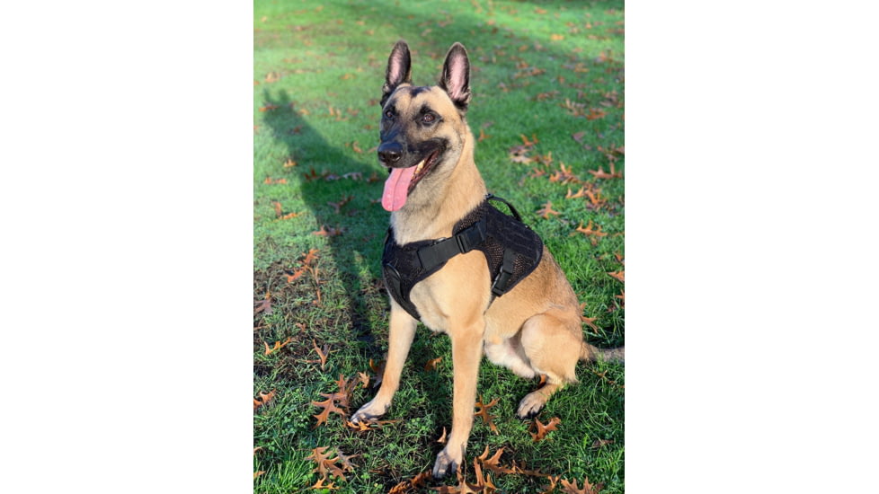 221B Tactical Artemis K-9 Harness, Black, Medium, AK9-M-BLK