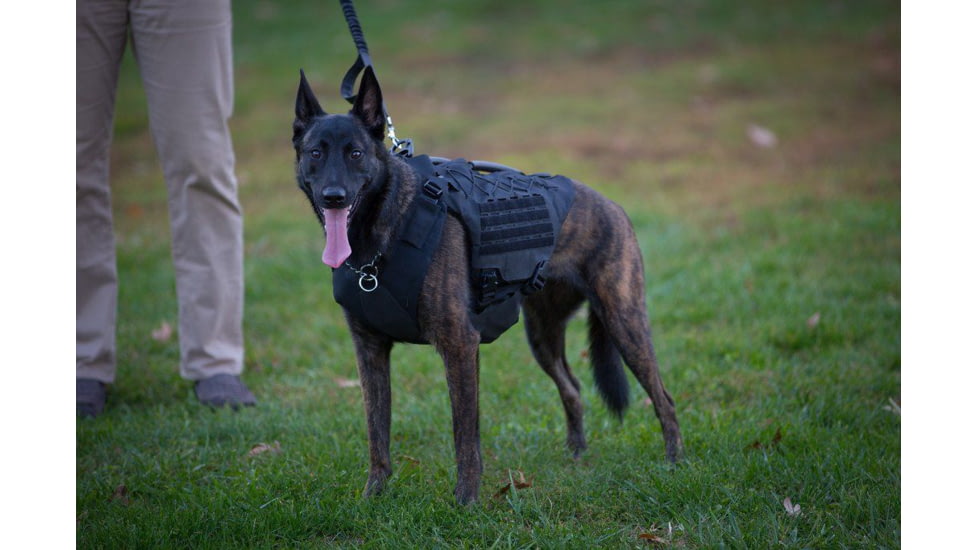 221B Tactical Titan Vest - K-9 Harness w/ Level IIIA K-9 Body Armor, Black, TTNV-WA-BLK