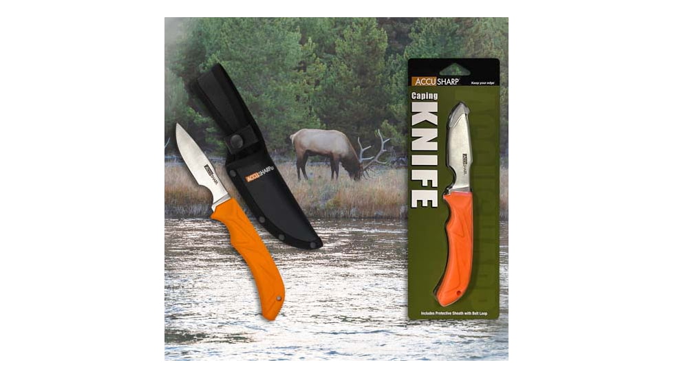 Accusharp Caping Knife 3 Blade Non Slip Grip W/sheath