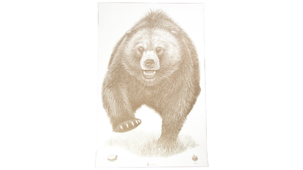 Action Target Alaska State Parks Bear Target, 23x35, 100 Per Box