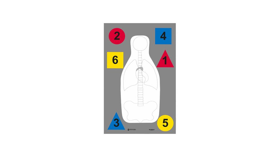 Action Target DT-ANTQ-A MultiPurpose FBI-Q/Vital Anatomy/Commands 100 Per Case, Red/Blue/Yellow/White/Black, 23in x 35in, DT-ANTQ-A-100