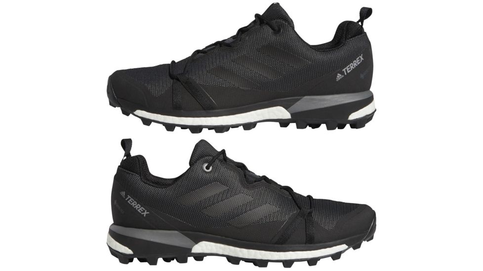 Adidas Terrex Skychaser LT GTX, Carbon/Black/Grey Four, 10.5, F36099-10.5