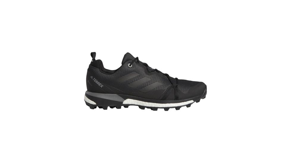 Adidas Terrex Skychaser LT GTX, Carbon/Black/Grey Four, 10.5, F36099-10.5