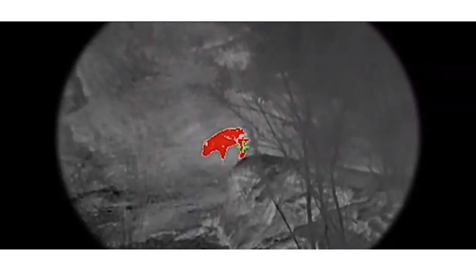 AGM Global Vision 6x Wolverine Pro-6 3AL2 Night Vision Rifle Scope, Gen 3, Auto-Gated, Level 2, Black, 15WP6623453121