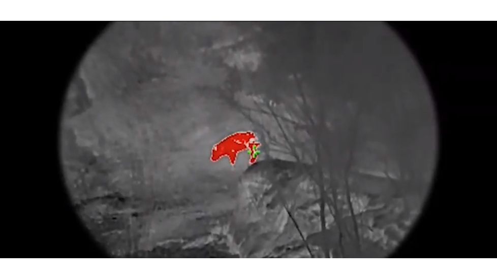 AGM Global Vision Wolverine Pro-4 3AL1 Night Vision Rifle Scope 4x70mm, Gen 3, Auto-Gated, Level 1, Black, 10.3 x 3.4 x 3.4, 15WP4423483111