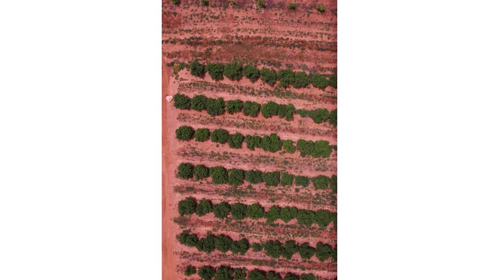 Agrowing Multi-Spectral Evaluation Package, Black, QX1EVL25