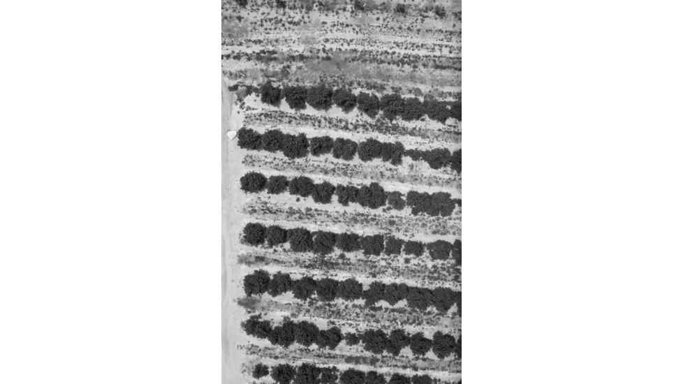 Agrowing Multi-Spectral Evaluation Package, Black, QX1EVL25